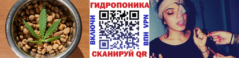 закладка  Мыски  Canna-Cookies марихуана 