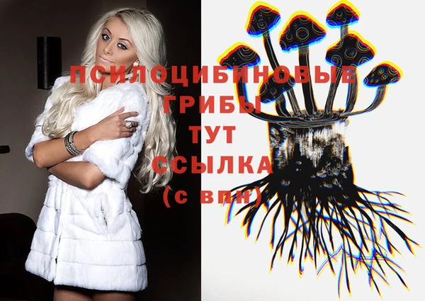 амф Надым