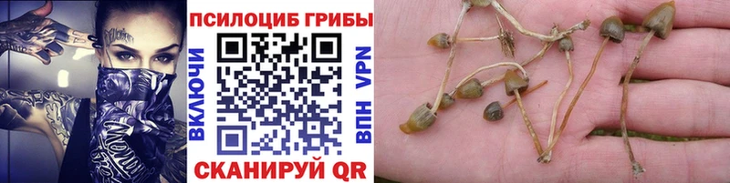 hydra зеркало Мыски площадка как зайти Псилоцибиновые грибы мицелий