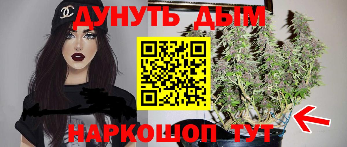 Каннабис OG Kush Мыски