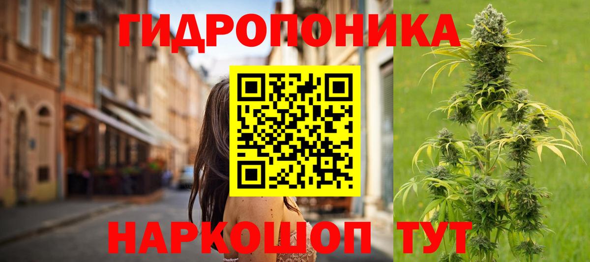 Бошки Шишки ГИДРОПОН  Марихуана THC 21%  Вход с VPN  Мыски 